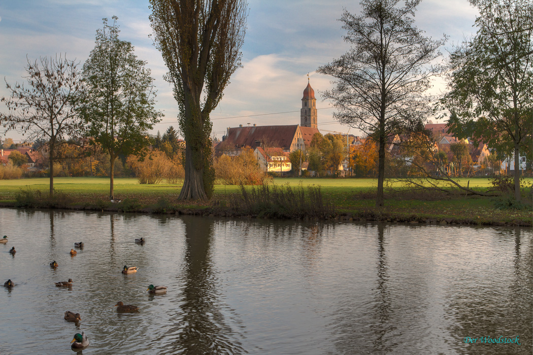 Der Schwanenweiher. Im Hintergrund Försterallee, Kloster und Basilika