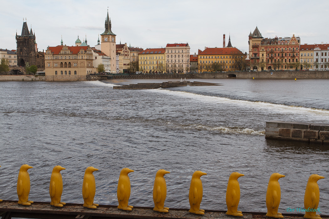 Nur hier in der Stadt zu finden: Pinguine